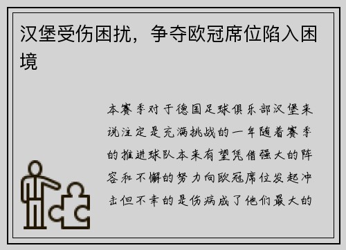 汉堡受伤困扰，争夺欧冠席位陷入困境