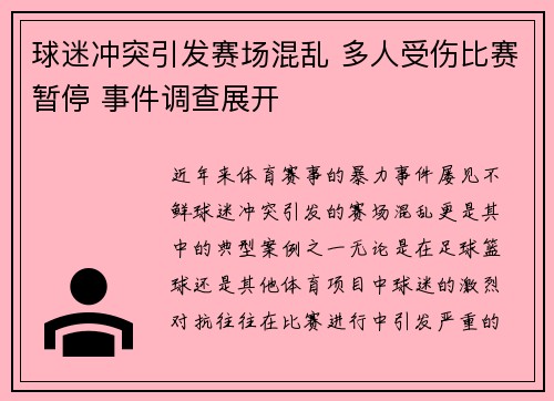 球迷冲突引发赛场混乱 多人受伤比赛暂停 事件调查展开